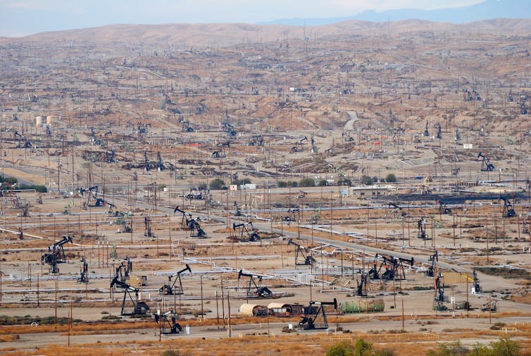 A dry landscape littered with oil derricks.
